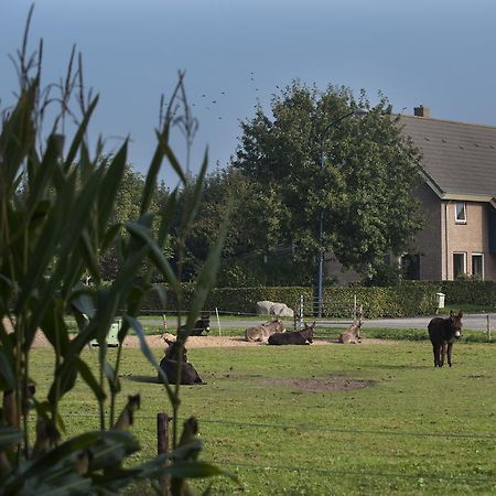 Bed & Breakfast 'Op 7' Hooghalen Exterior foto