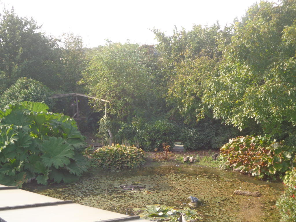 Bed & Breakfast 'Op 7' Hooghalen Exterior foto