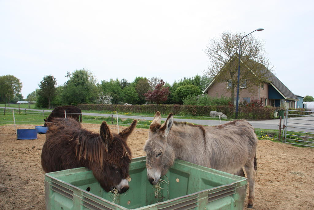 Bed & Breakfast 'Op 7' Hooghalen Exterior foto
